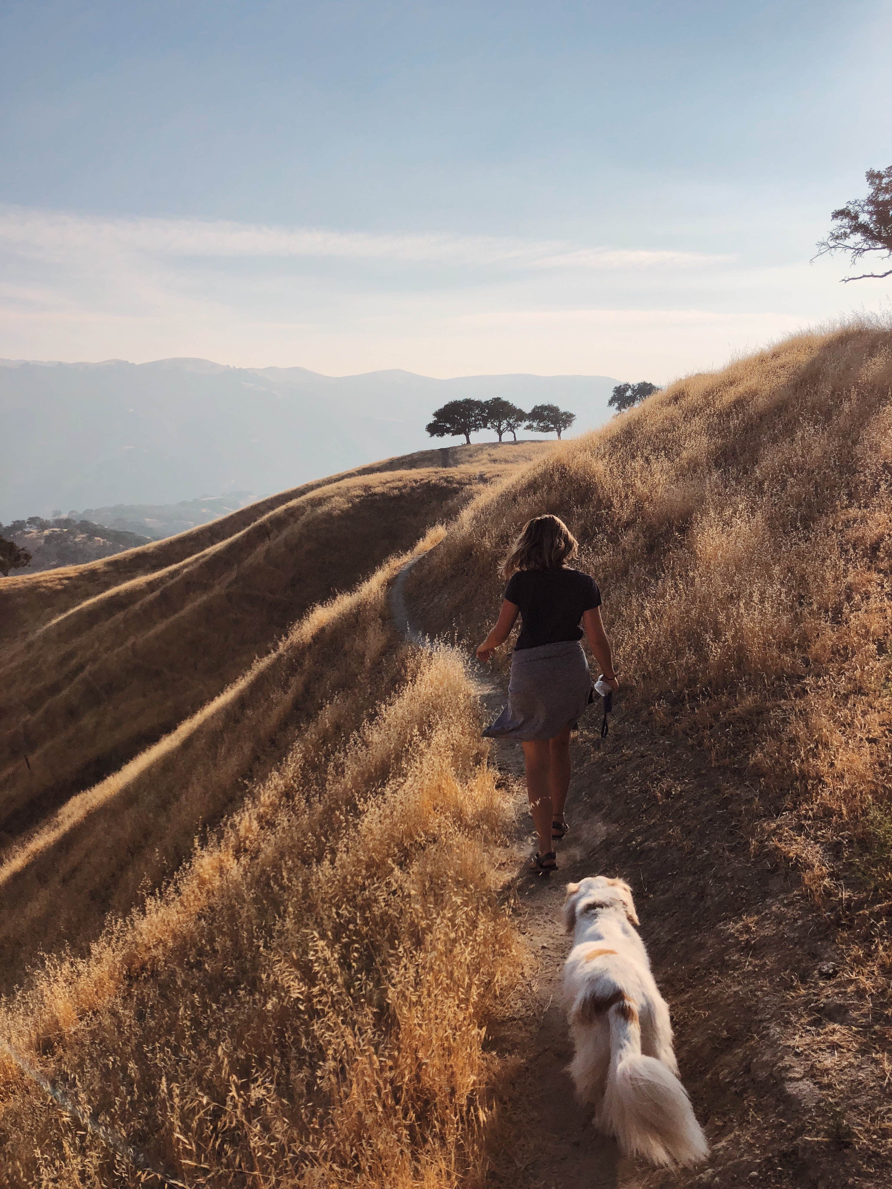 emmy's photo of camping with pets at Del Valle Campground — East Bay Regional Park District near Brentwood, CA