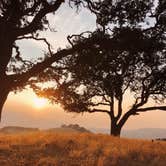 Review photo of Del Valle Regional Park by emmy , August 21, 2018