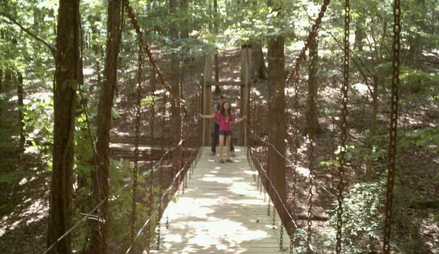 Camper submitted image from Lake Catherine State Park Campground - 5