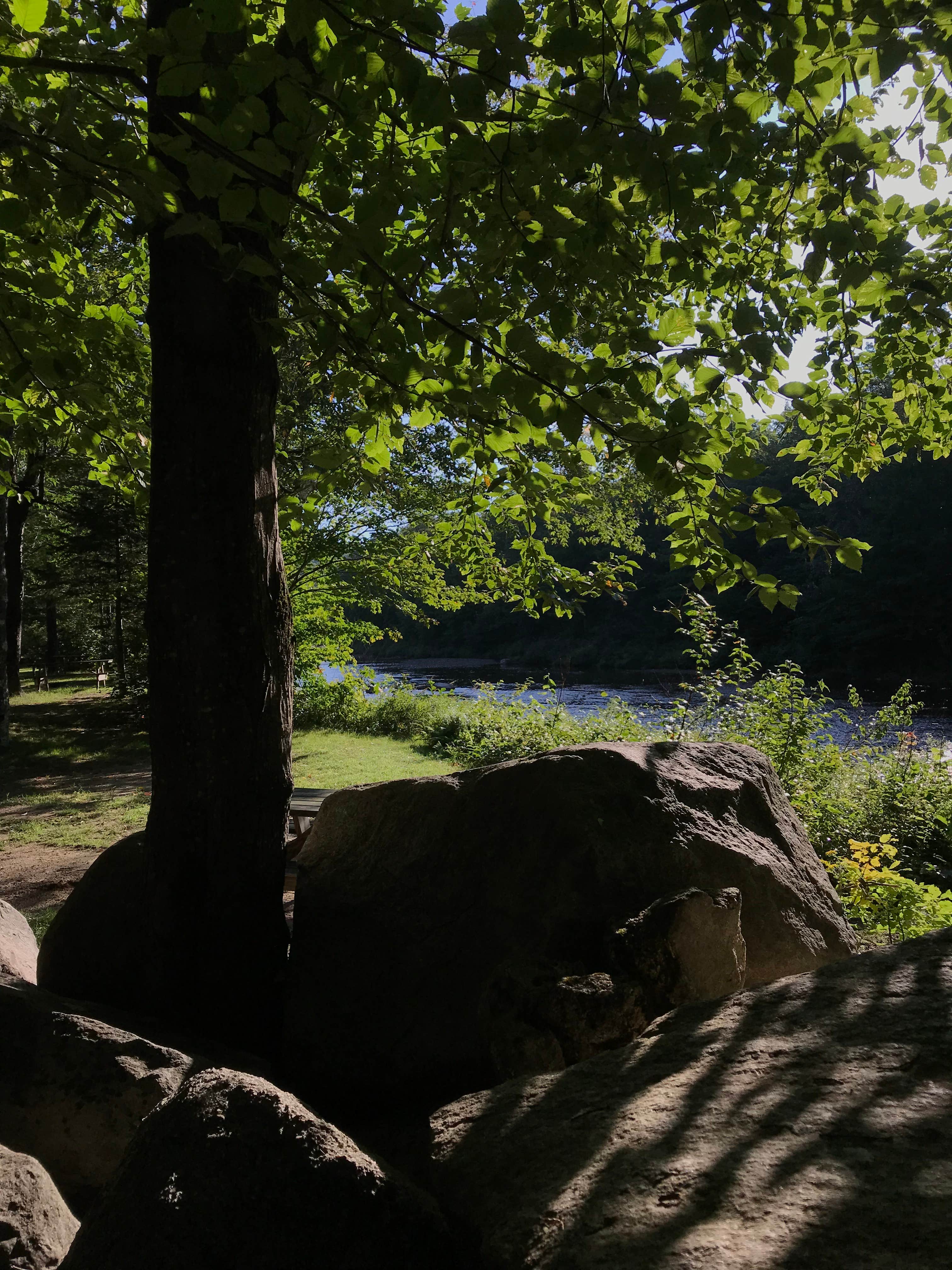 Nature