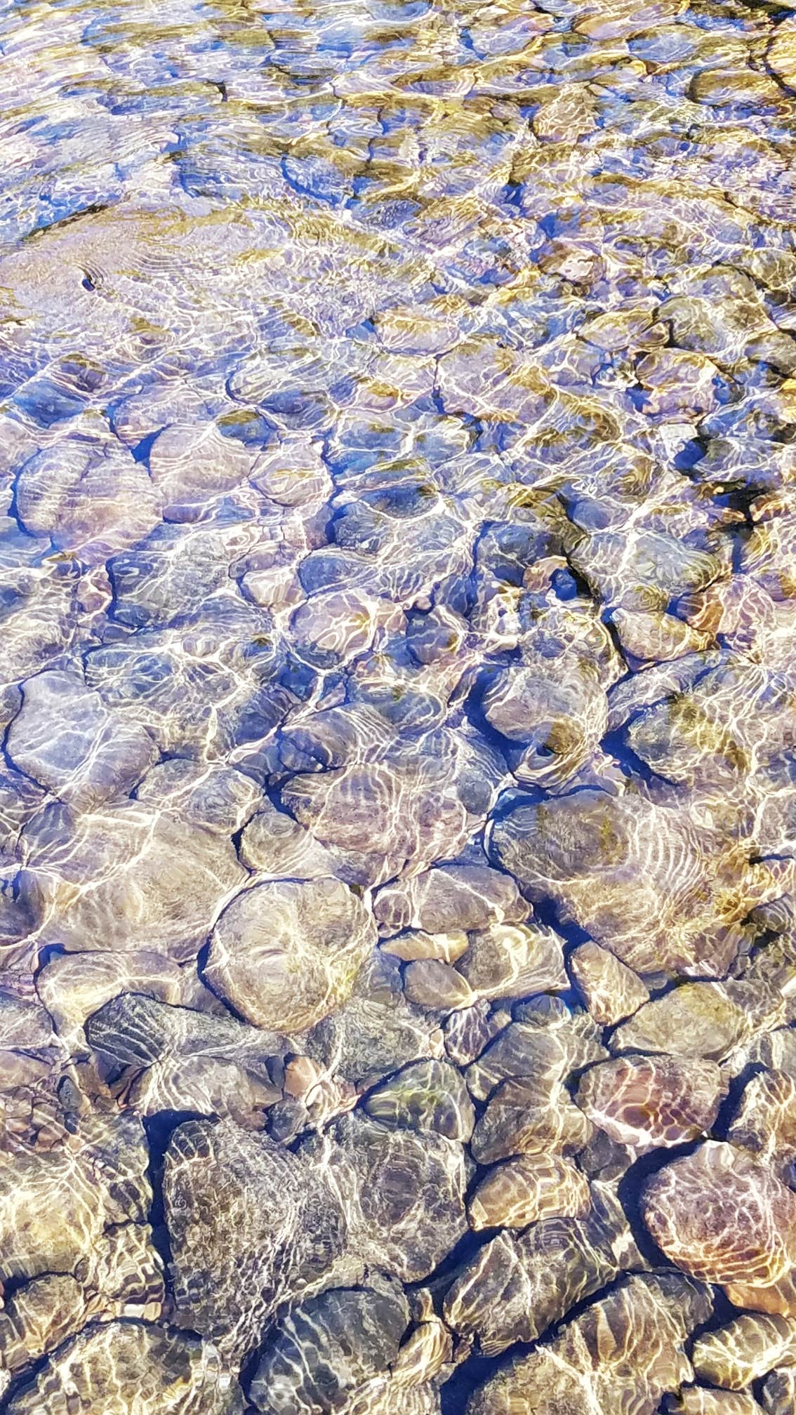 Camper-submitted photo at Keenig Creek Campground near Lafayette, OR
