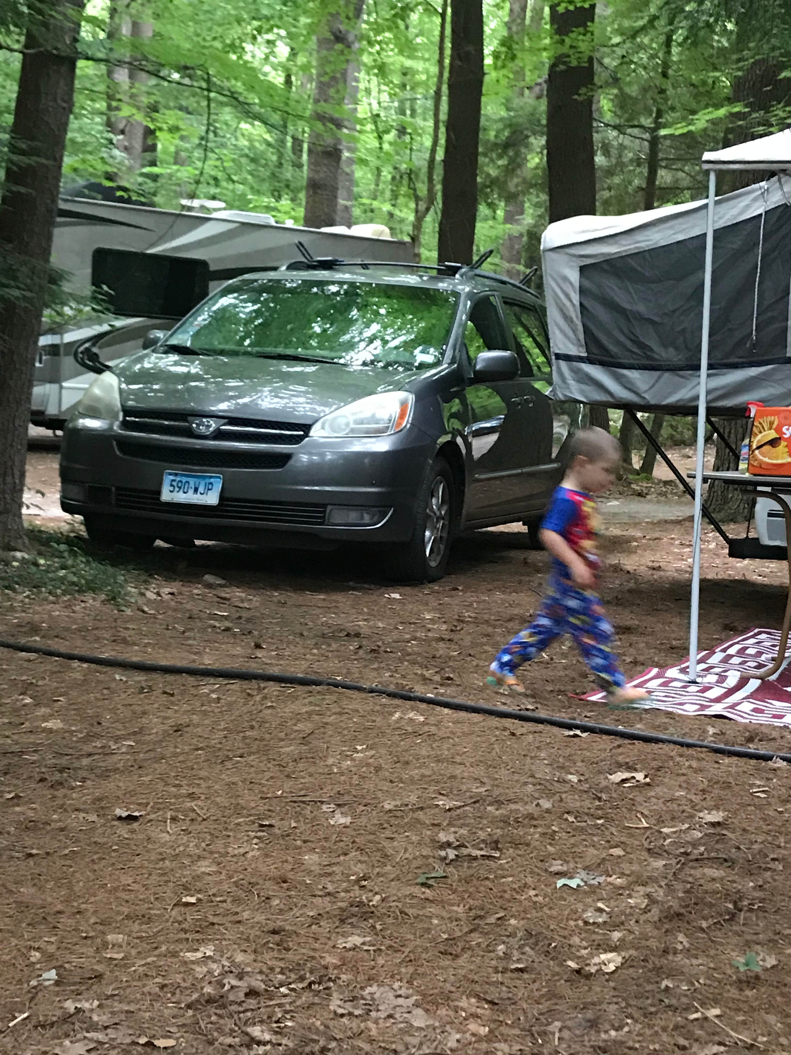 Camper submitted image from White Pines Campsites - 5