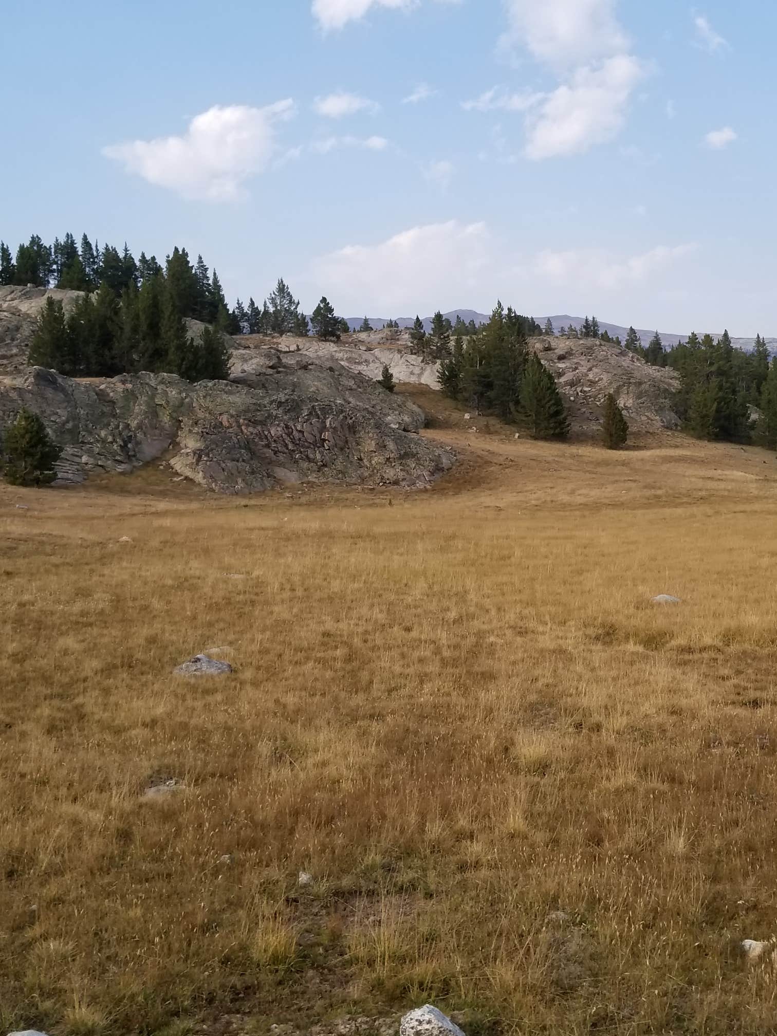 Medicine Lodge Lake Campground The Dyrt