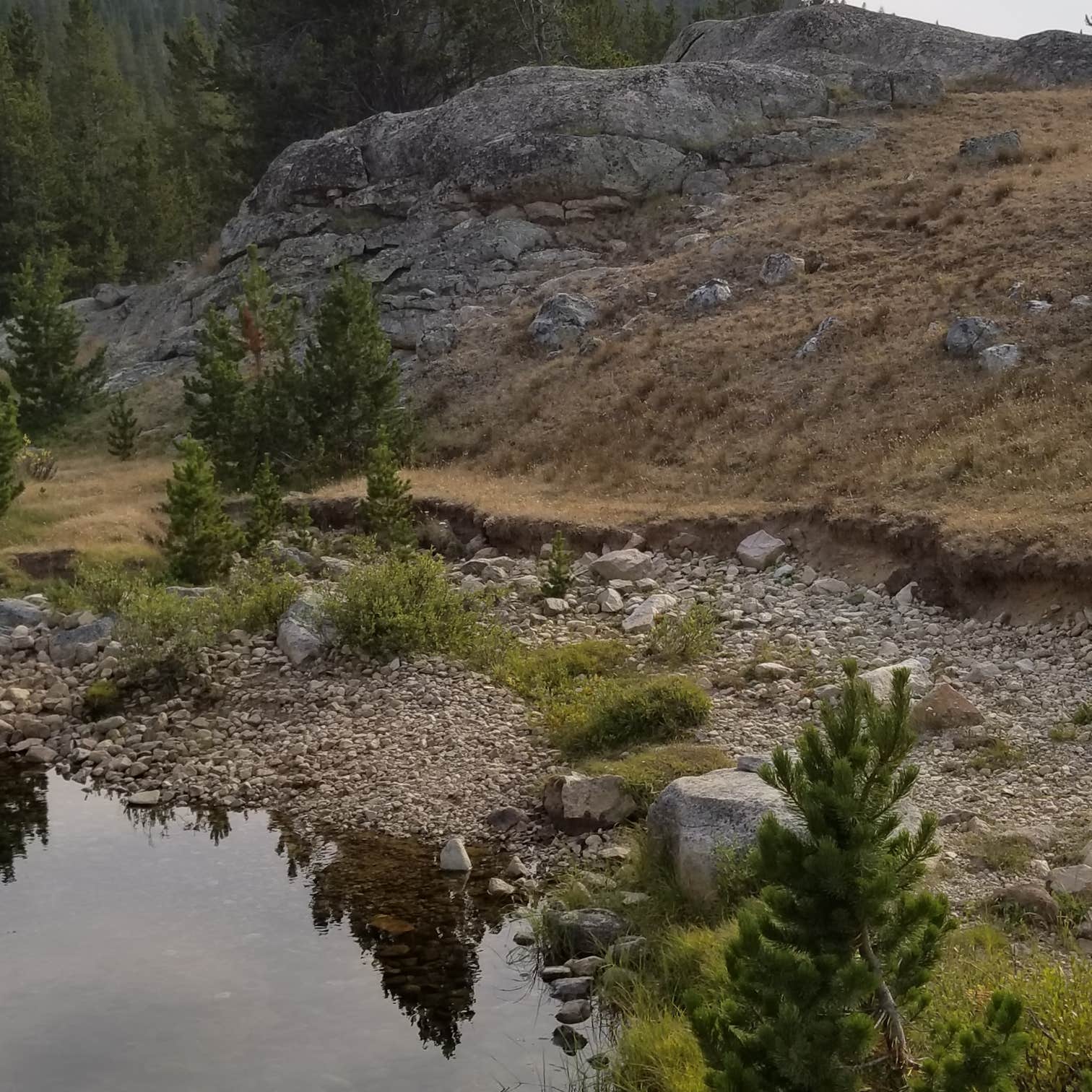 Medicine Lodge Lake Campground Camping The Dyrt