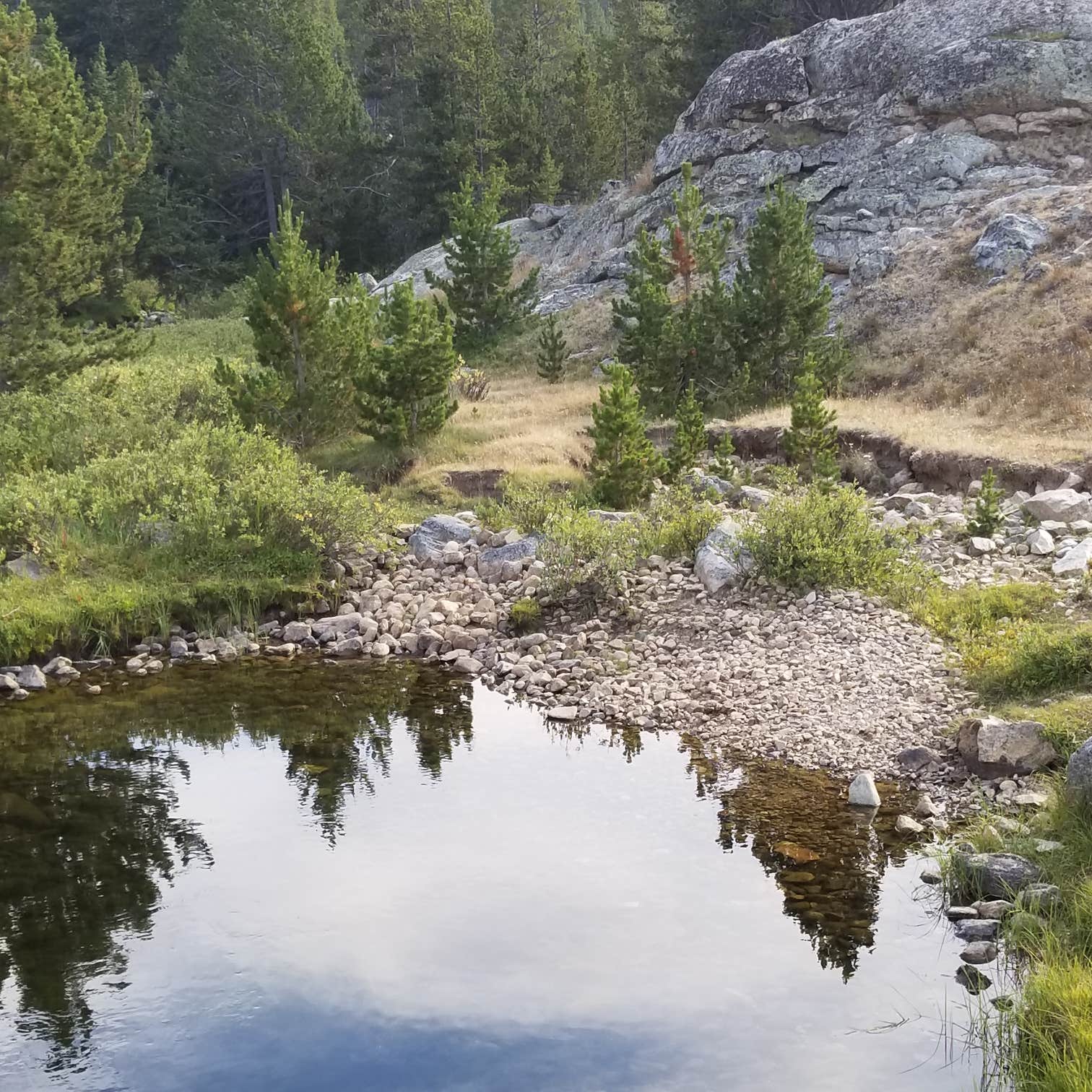 Medicine Lodge Lake Campground Camping The Dyrt