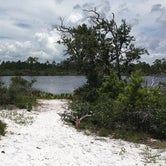 Review photo of Big Lagoon State Park Campground by Stephanie T., July 31, 2016