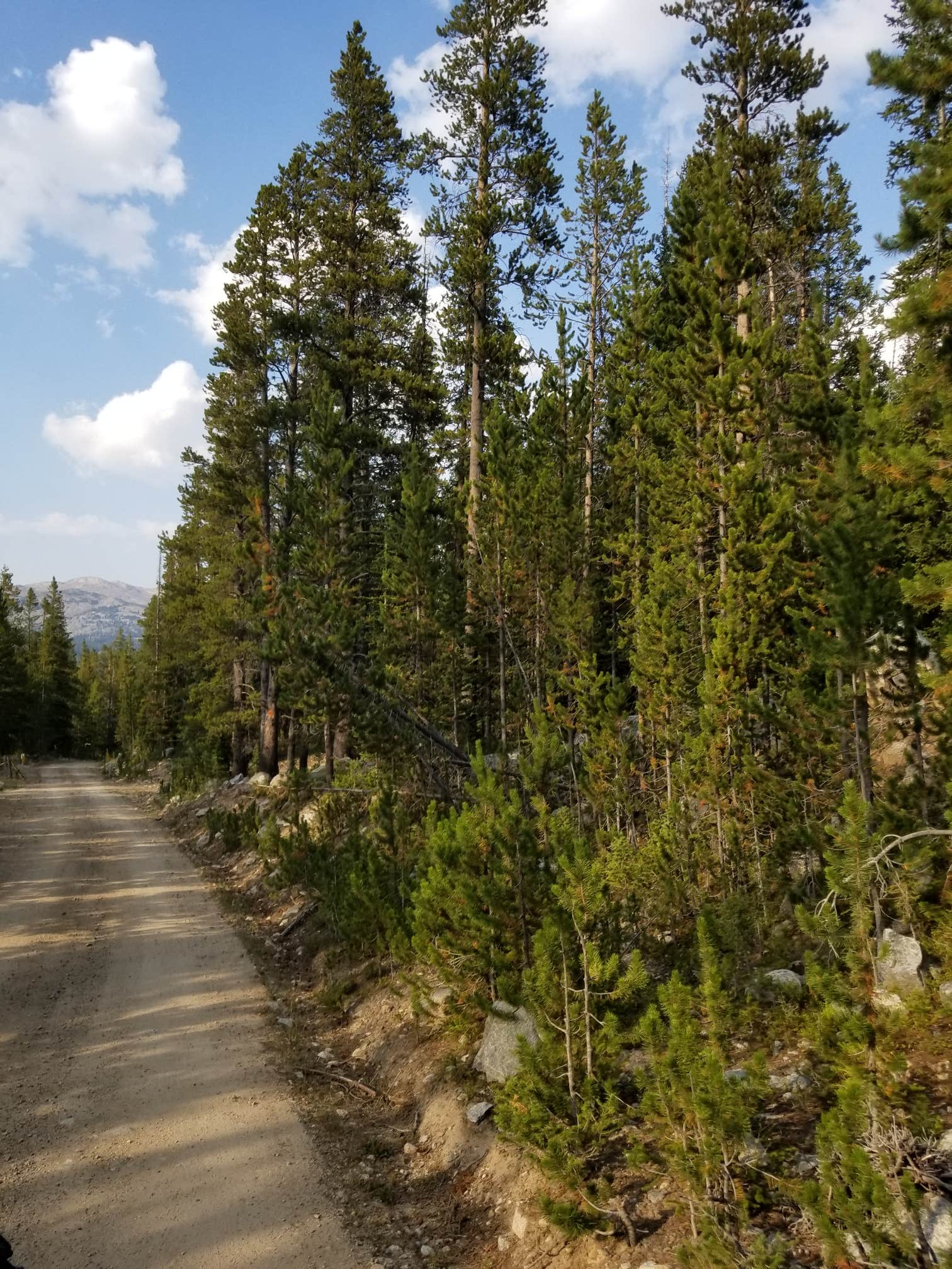 Camper submitted image from Medicine Lodge Lake Campground - 2