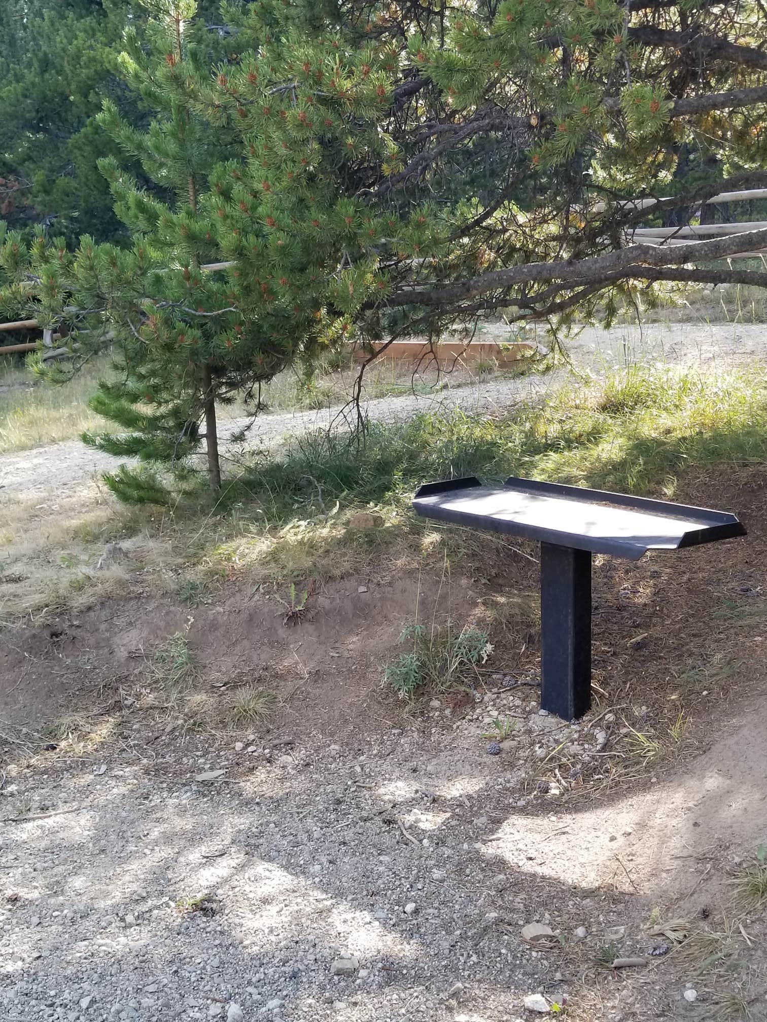 Camper-submitted photo at Medicine Lodge Lake Campground near Bighorn National Forest