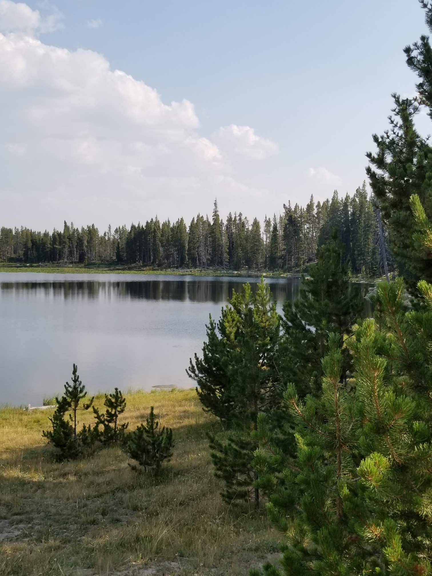Camper-submitted photo at Medicine Lodge Lake Campground near Bighorn National Forest