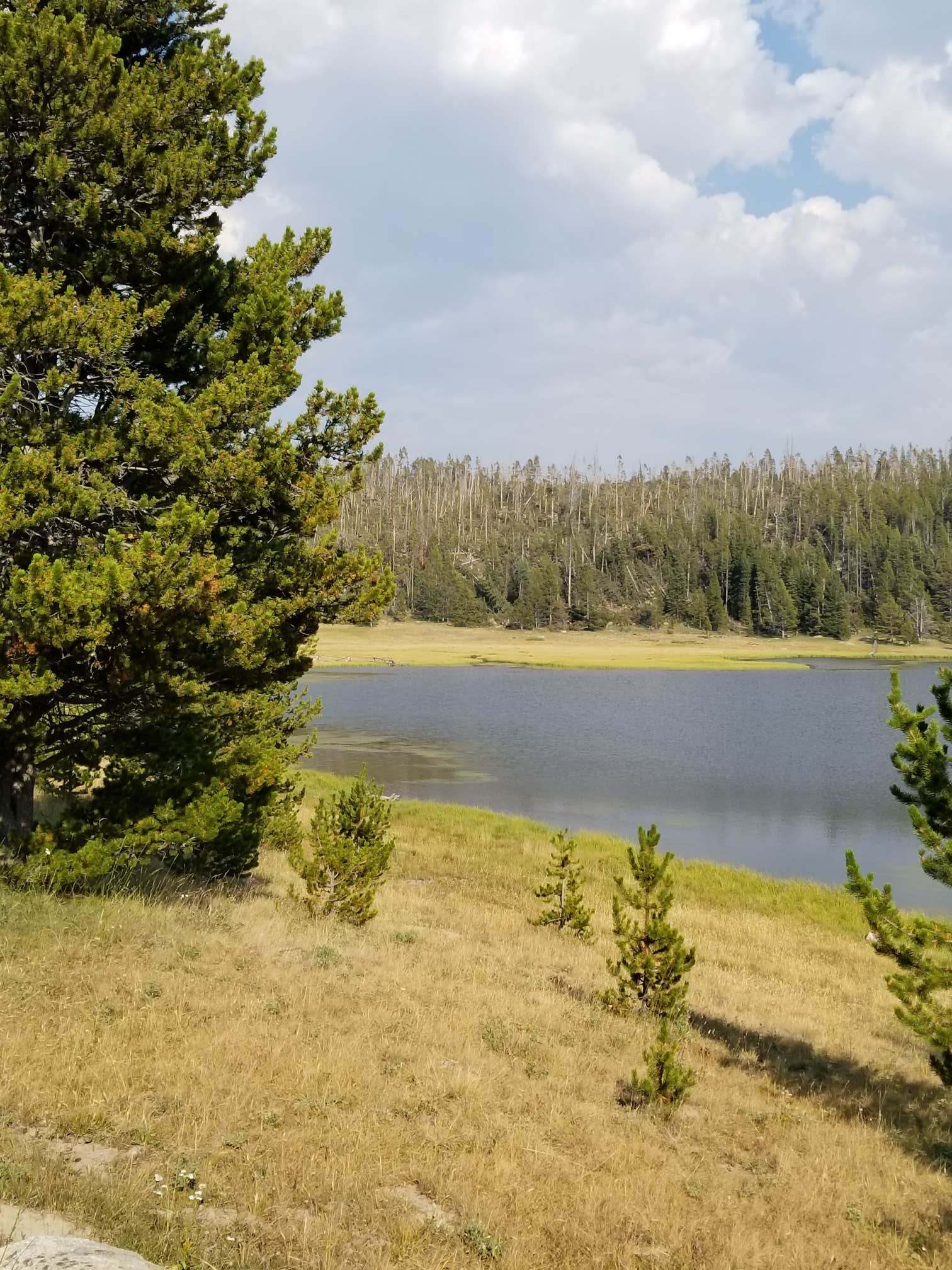 Camper-submitted photo at Medicine Lodge Lake Campground near Bighorn National Forest