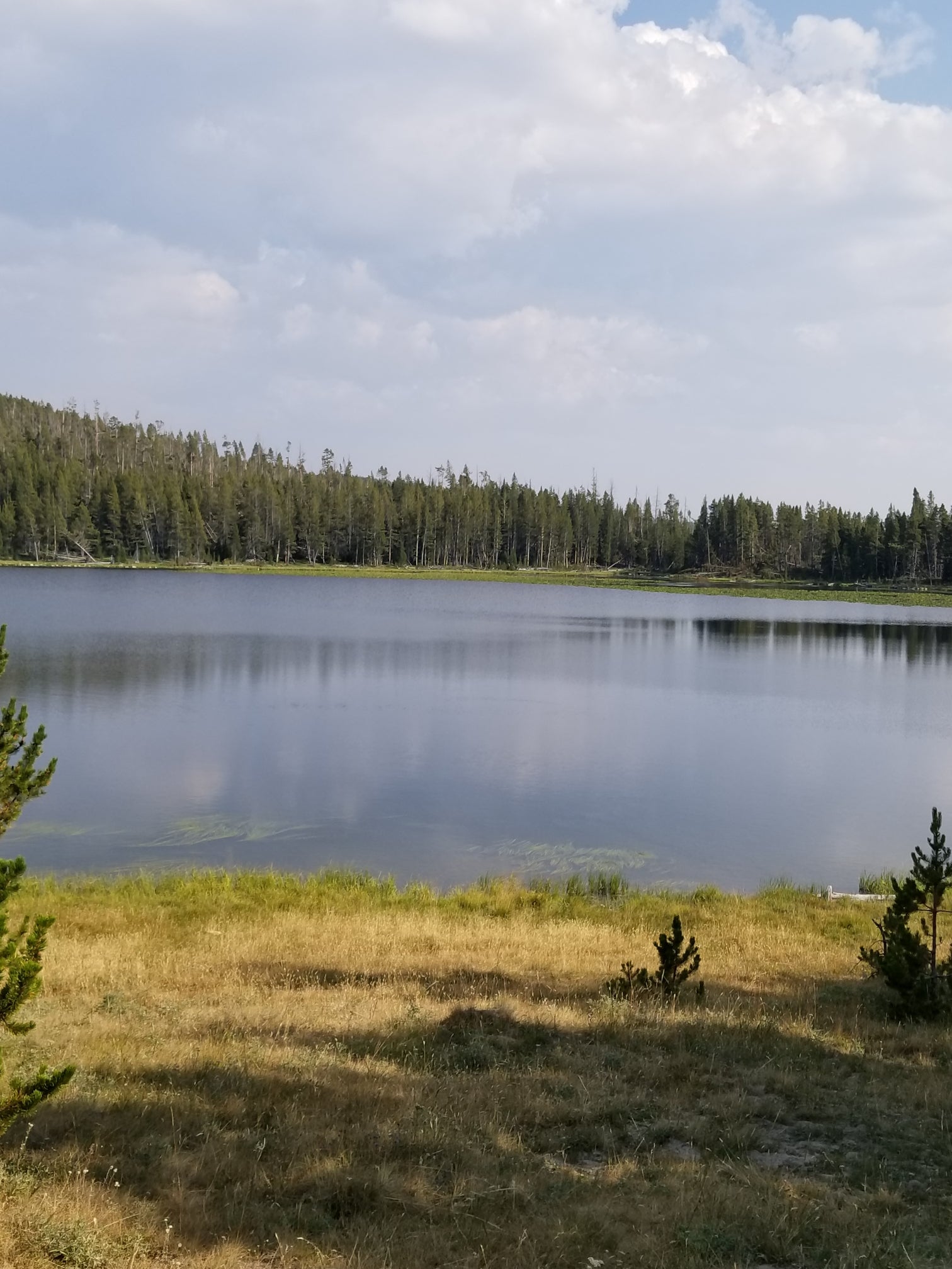Camper submitted image from Medicine Lodge Lake Campground - 1