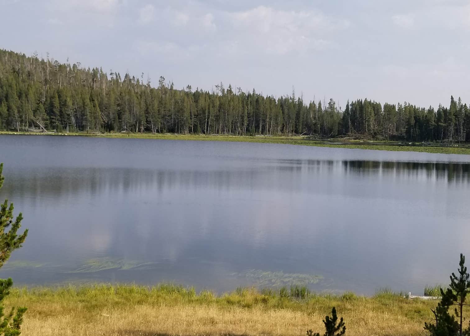 Medicine Lodge Lake Campground Camping The Dyrt