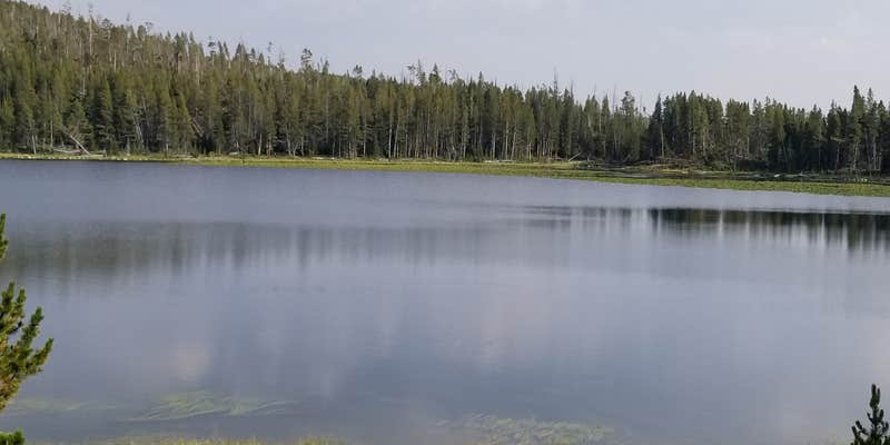 Camper submitted image from Medicine Lodge Lake Campground