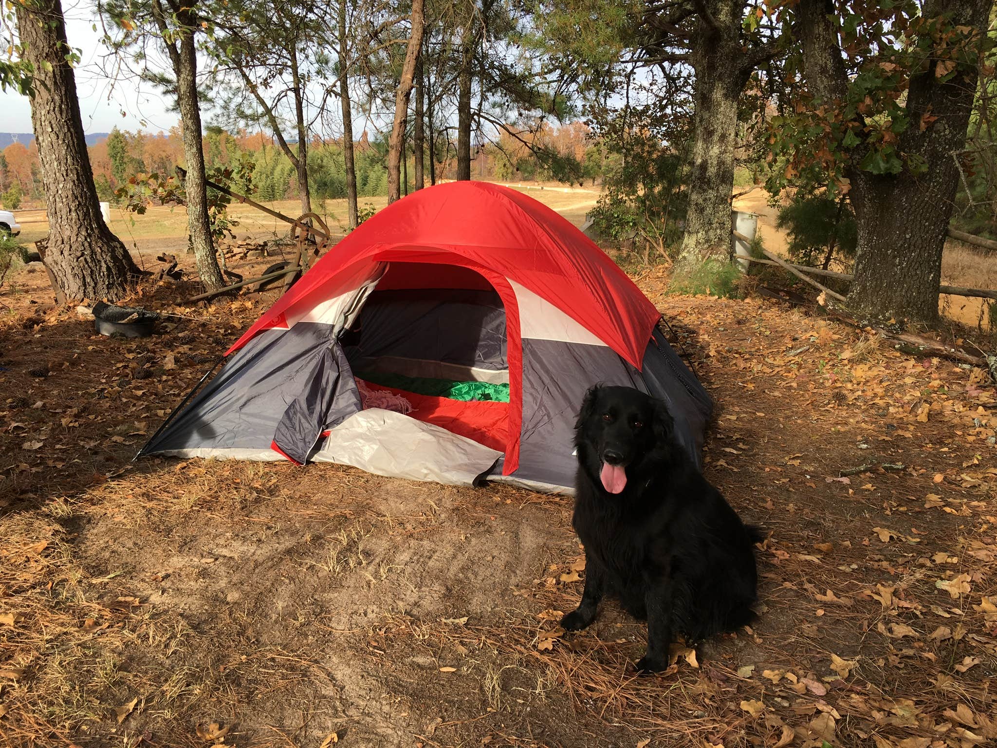 Camper-submitted photo at The Ridge Outdoor Resort near Rainbow City, AL