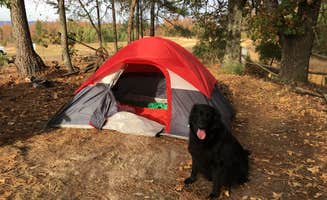 Megan M.'s photo of camping with pets at The Ridge Outdoor Resort near Vestavia Hills, AL
