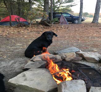 Camper-submitted photo from Tannehill Ironworks Historical State Park Campground
