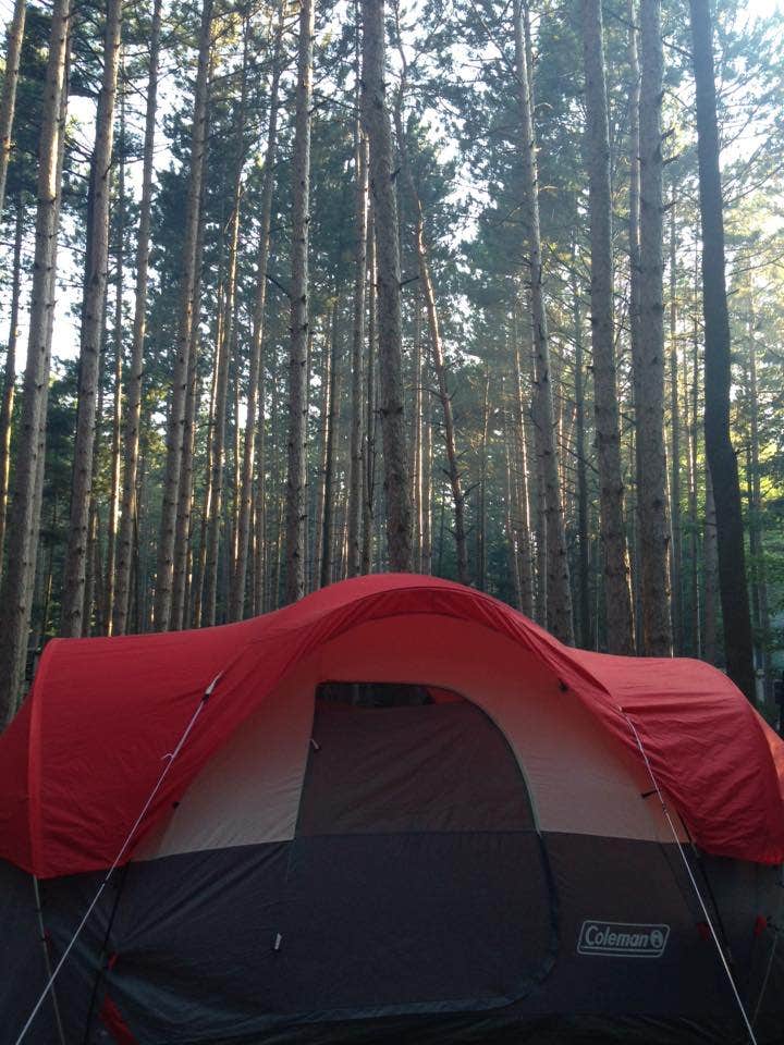 Jennifer O.'s photo at Hoffmaster State Park Campground near Coopersville, MI