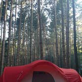 Review photo of Hoffmaster State Park Campground by Jennifer O., August 21, 2018