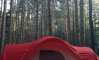 Jennifer O.'s photo at Hoffmaster State Park Campground near Grand Haven, MI