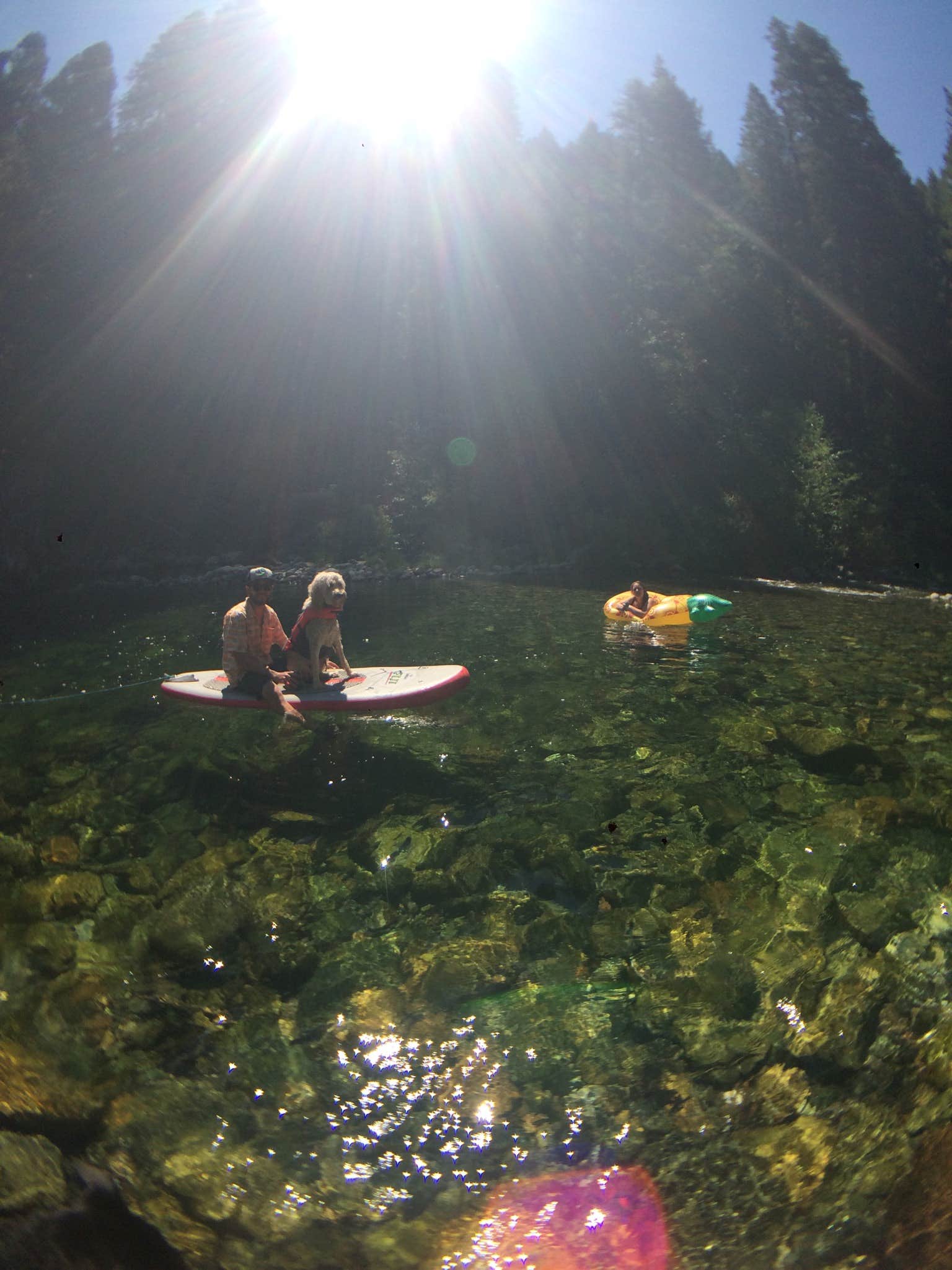Camper submitted image from Union Flat - 3