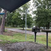 Review photo of COE Lake Ouachita Crystal Springs Campground by Rob W., August 21, 2018