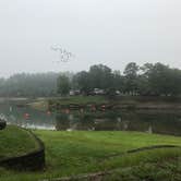 Review photo of COE Lake Ouachita Crystal Springs Campground by Rob W., August 21, 2018