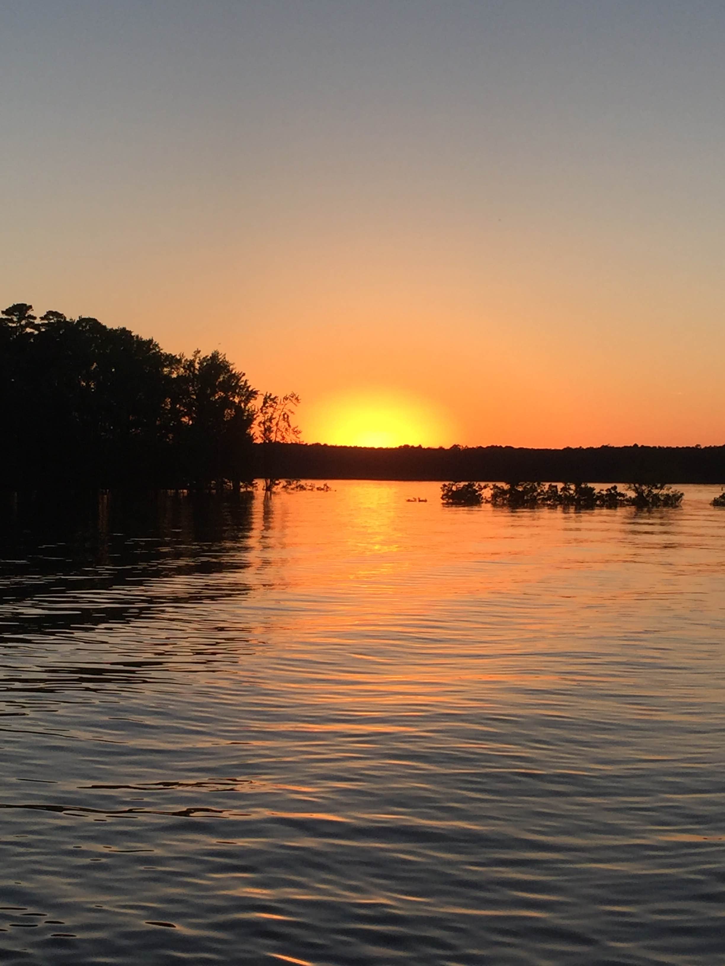 Camper submitted image from Tompkins Bend - Lake Ouachita - 4