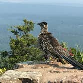 Review photo of Mount Magazine State Park Campground by Rob W., August 21, 2018