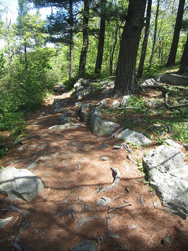 Hiking path