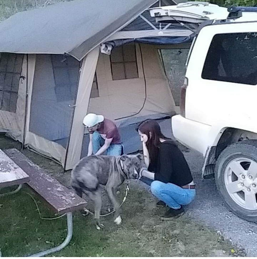 Camper-submitted photo at Seven Lakes State Park Campground near Dearborn, MI