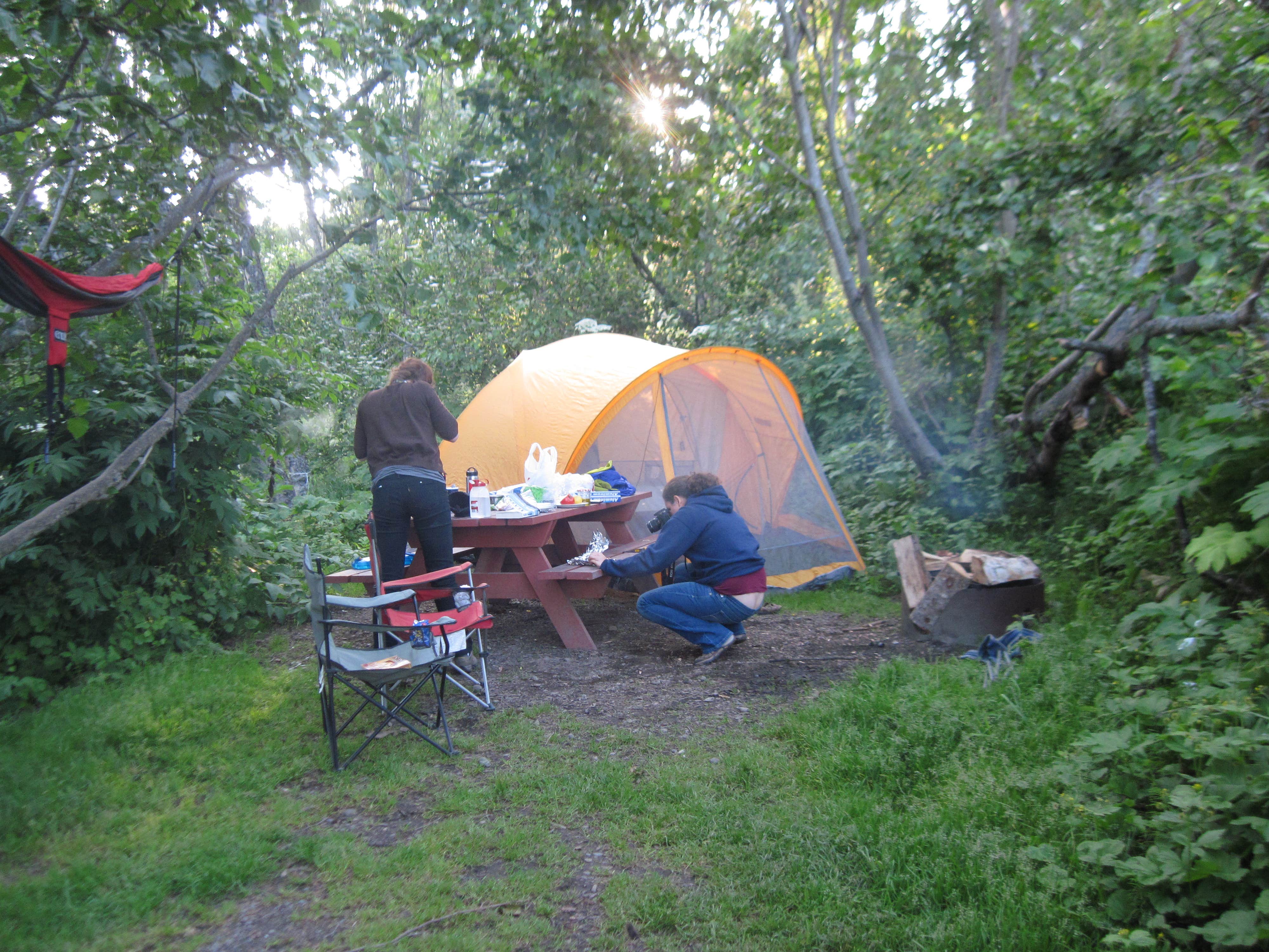 Katie S.'s photo at Karen Hornaday Park Campground - CLOSED UNTIL FURTHER NOTICE near Halibut Cove, AK