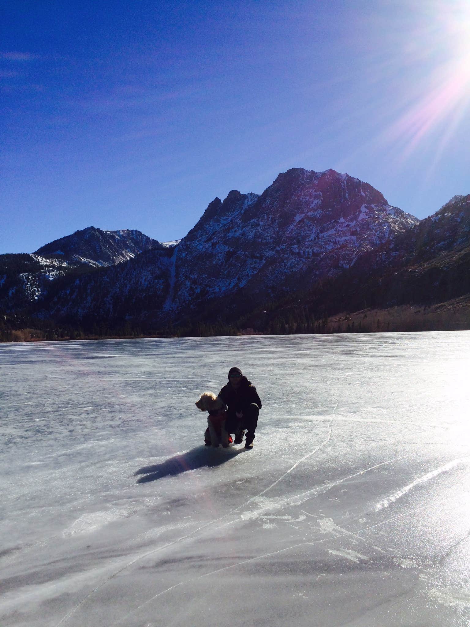 Camper submitted image from June Lake Campground - 2