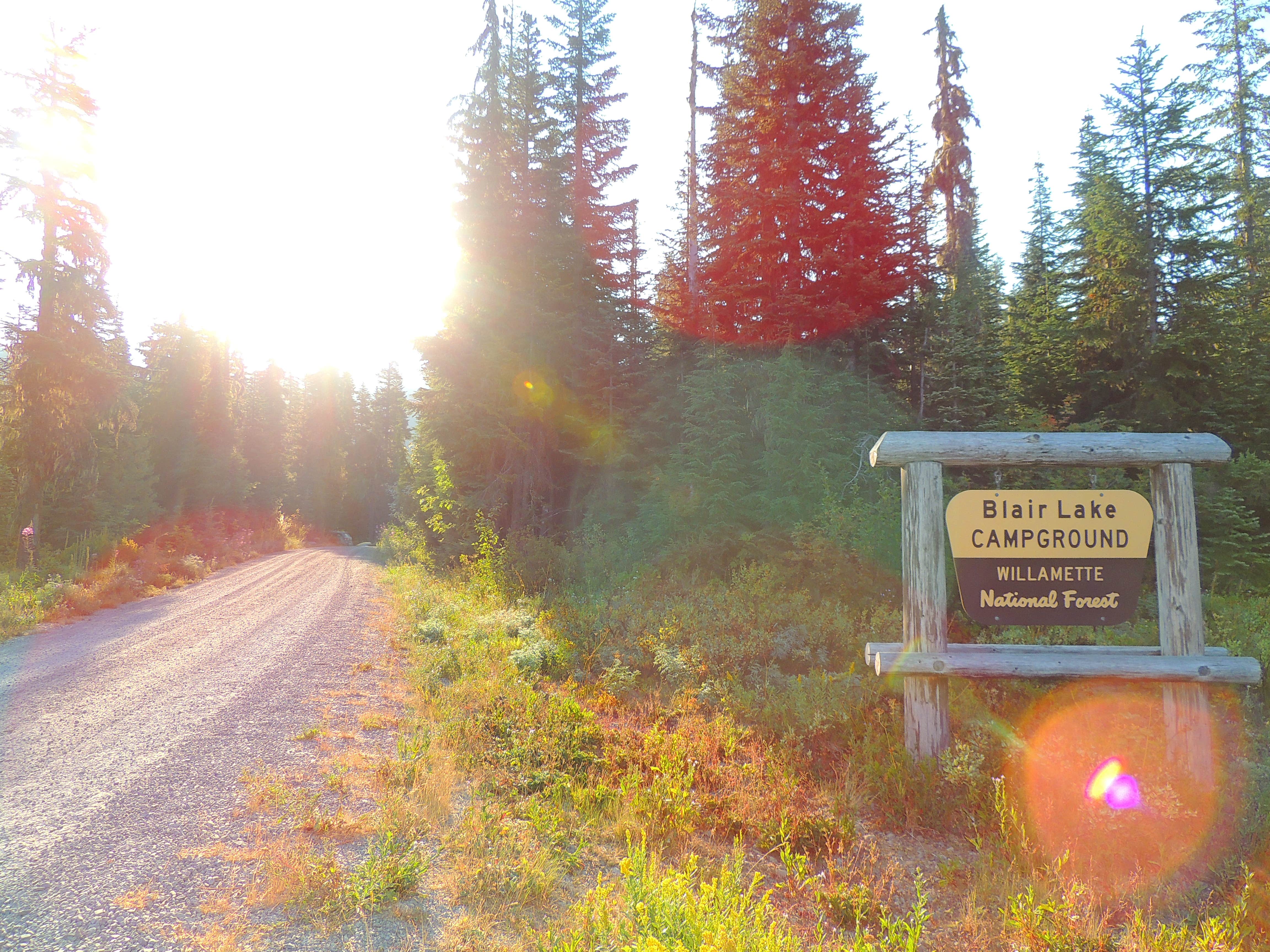 Camper submitted image from Blair Lake Campground - 3