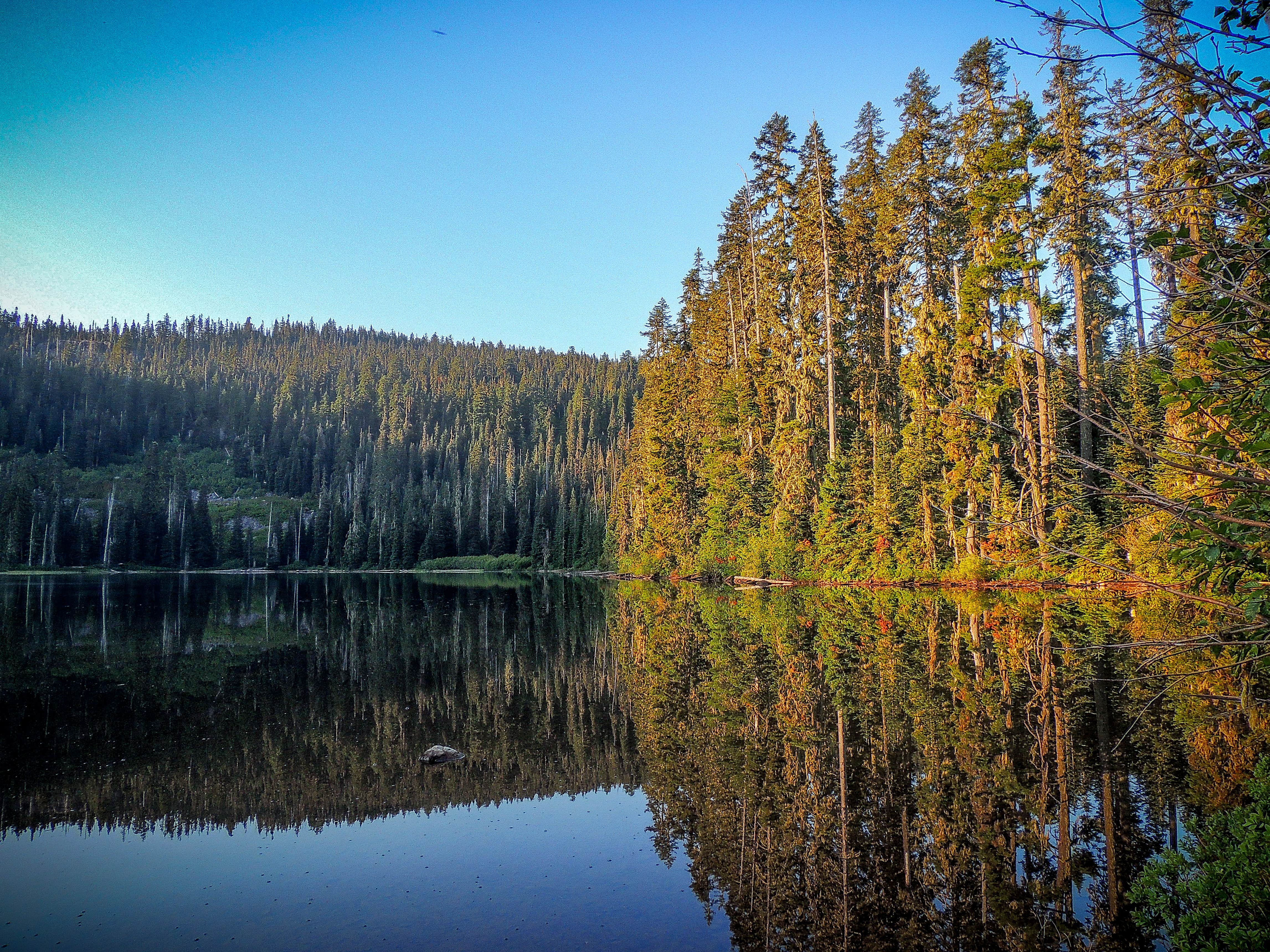 Camper submitted image from Blair Lake Campground - 4