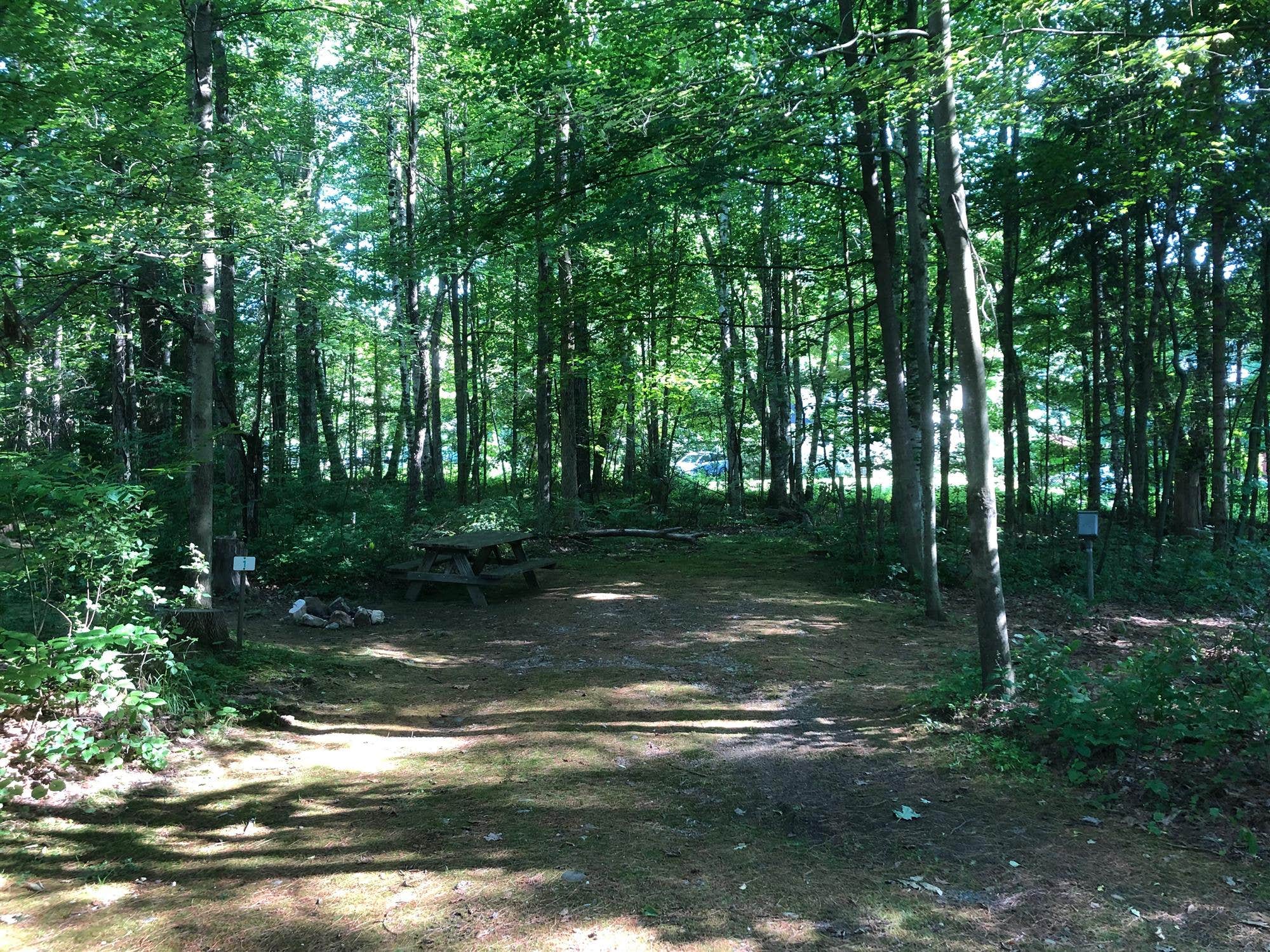 Camper submitted image from Bonnie Brae Campground - 1