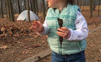 2SHOE S.'s photo at Maumelle Park near Conway, AR