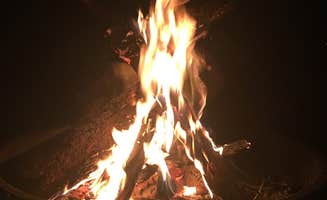 2SHOE S.'s photo at Maumelle Park near White Hall, AR