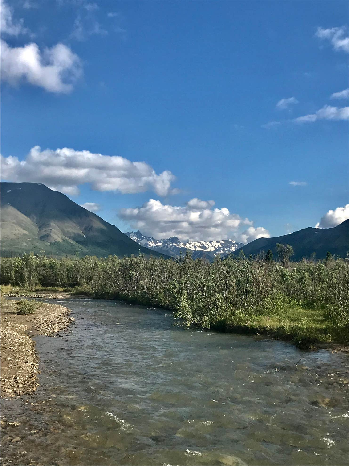 Savage River The Dyrt