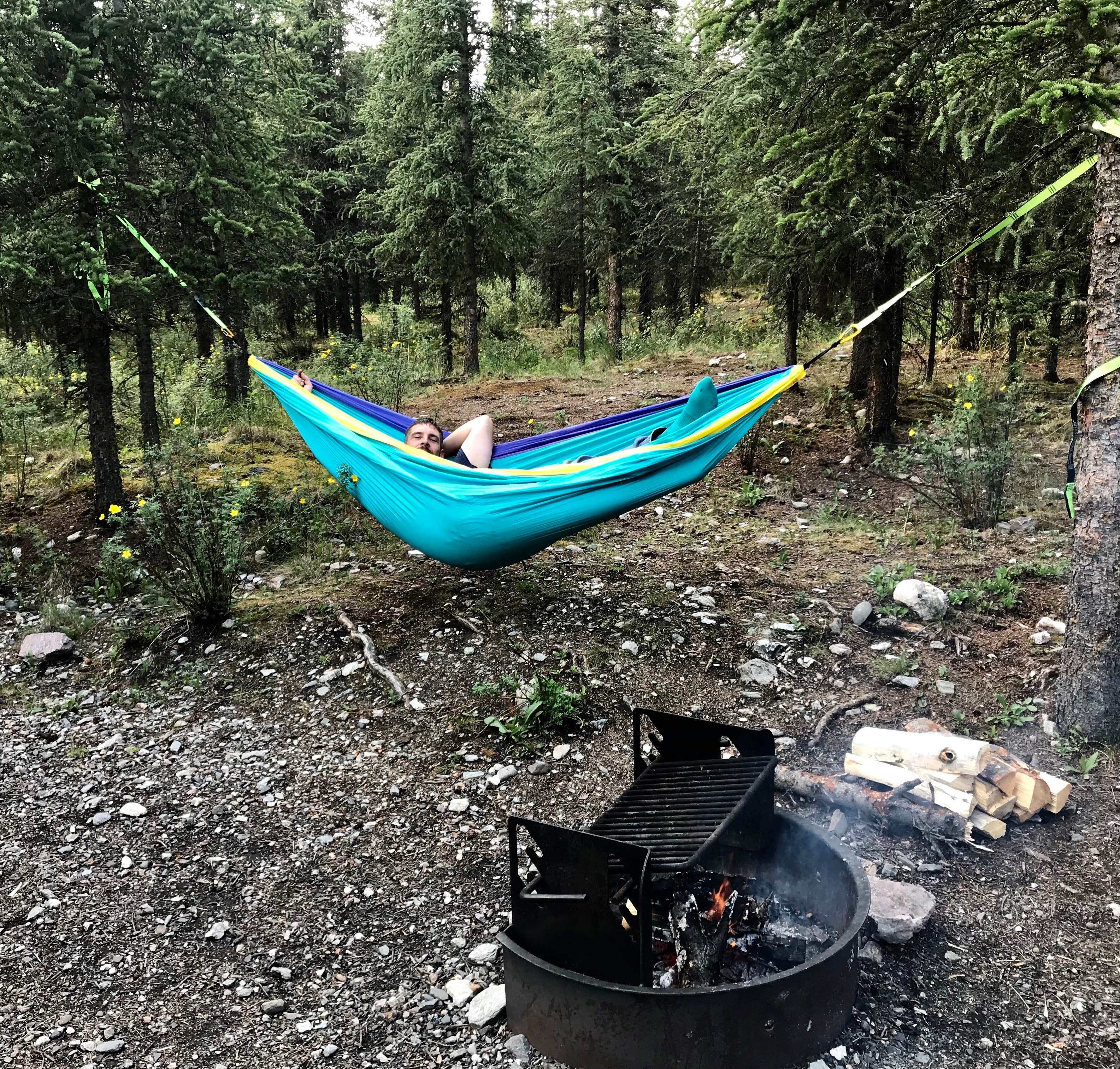Camper submitted image from Savage River Campground — Denali National Park - 5