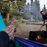 Review photo of Savage River Campground — Denali National Park by Caitlin D., August 21, 2018