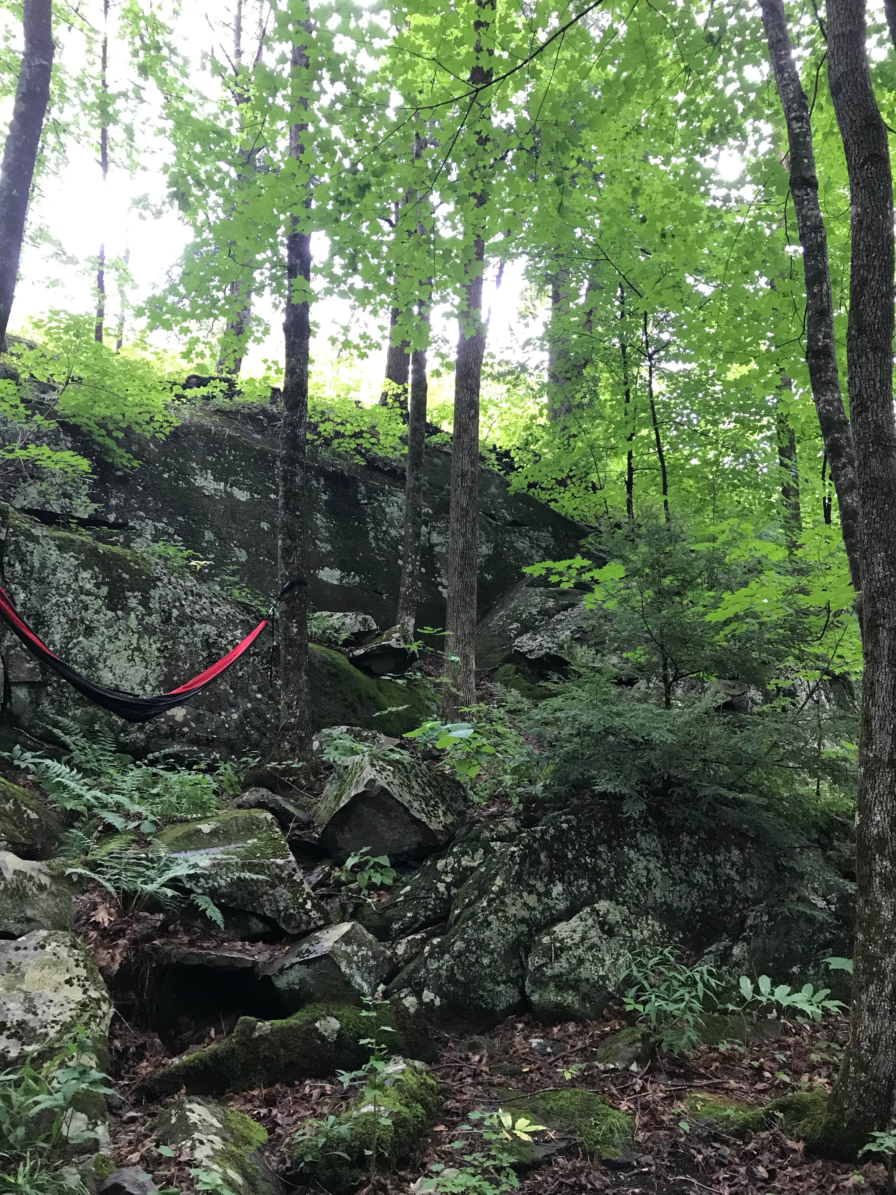 Camper-submitted photo at Branbury State Park Campground near Goshen, VT