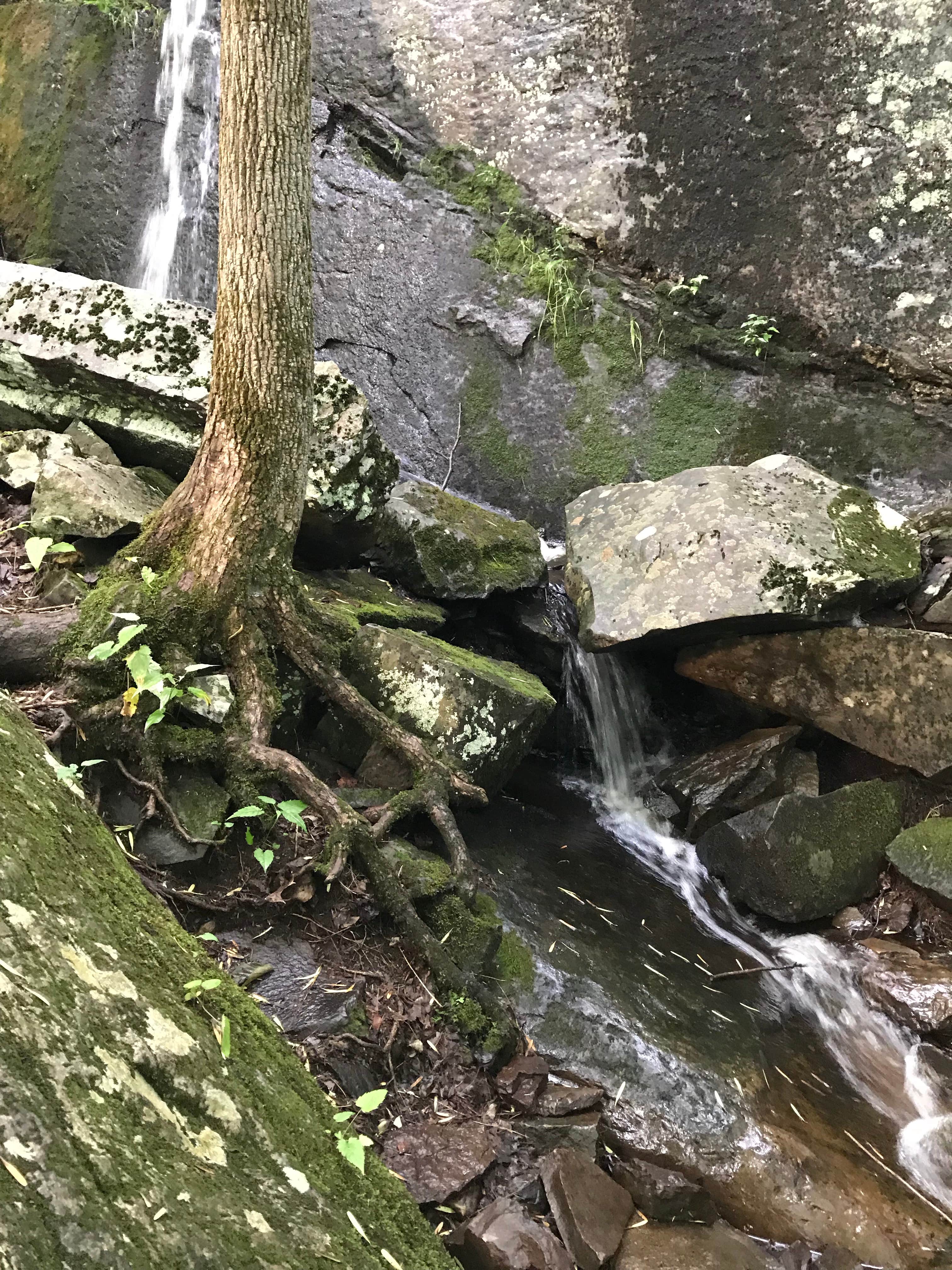 Camper-submitted photo at Branbury State Park Campground near Goshen, VT