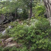 Review photo of Branbury State Park Campground by Nicole E., August 21, 2018