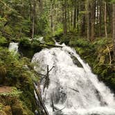 Review photo of Mt Hood Village Resort by Jessica S., August 21, 2018