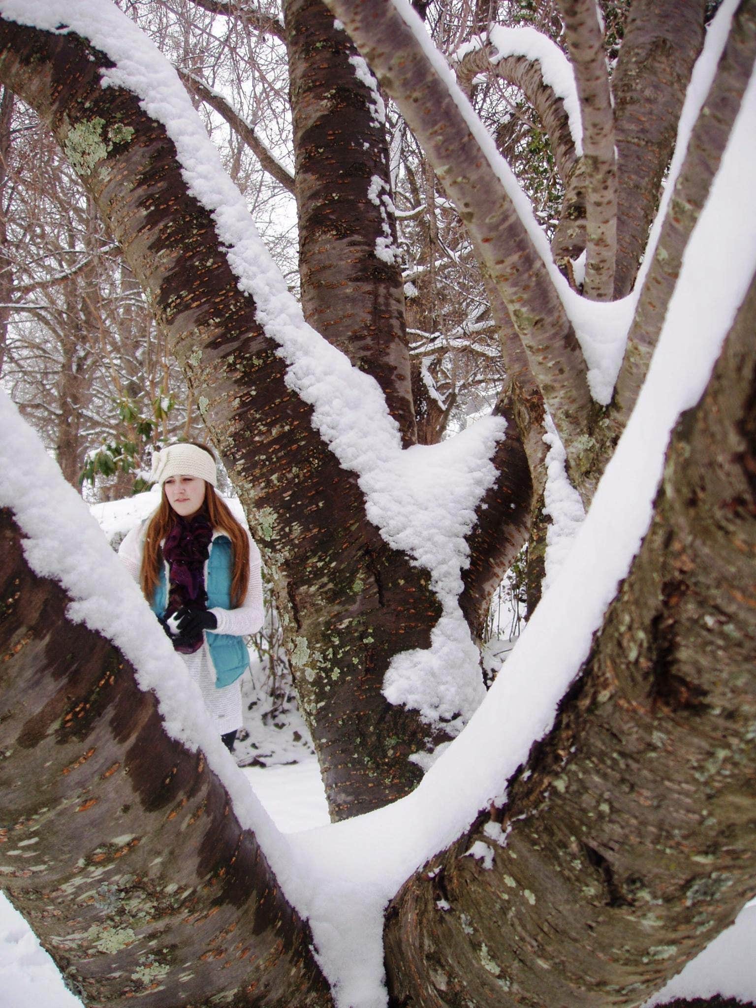 Camper-submitted photo at Lynchburg / Blue Ridge Parkway KOA near Buchanan, VA