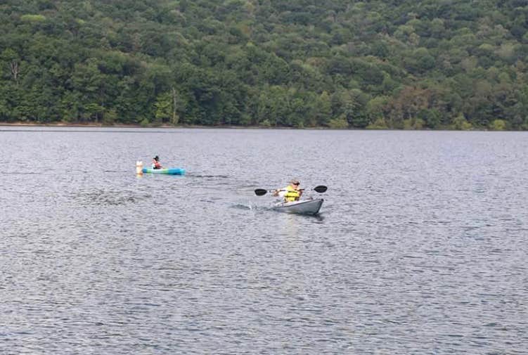 Camper submitted image from Robert W. Craig - Jennings Randolph Lake - 5