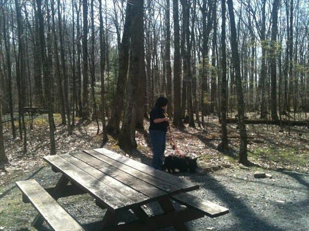 Camper-submitted photo at Bishop Knob Campground near Richwood, WV