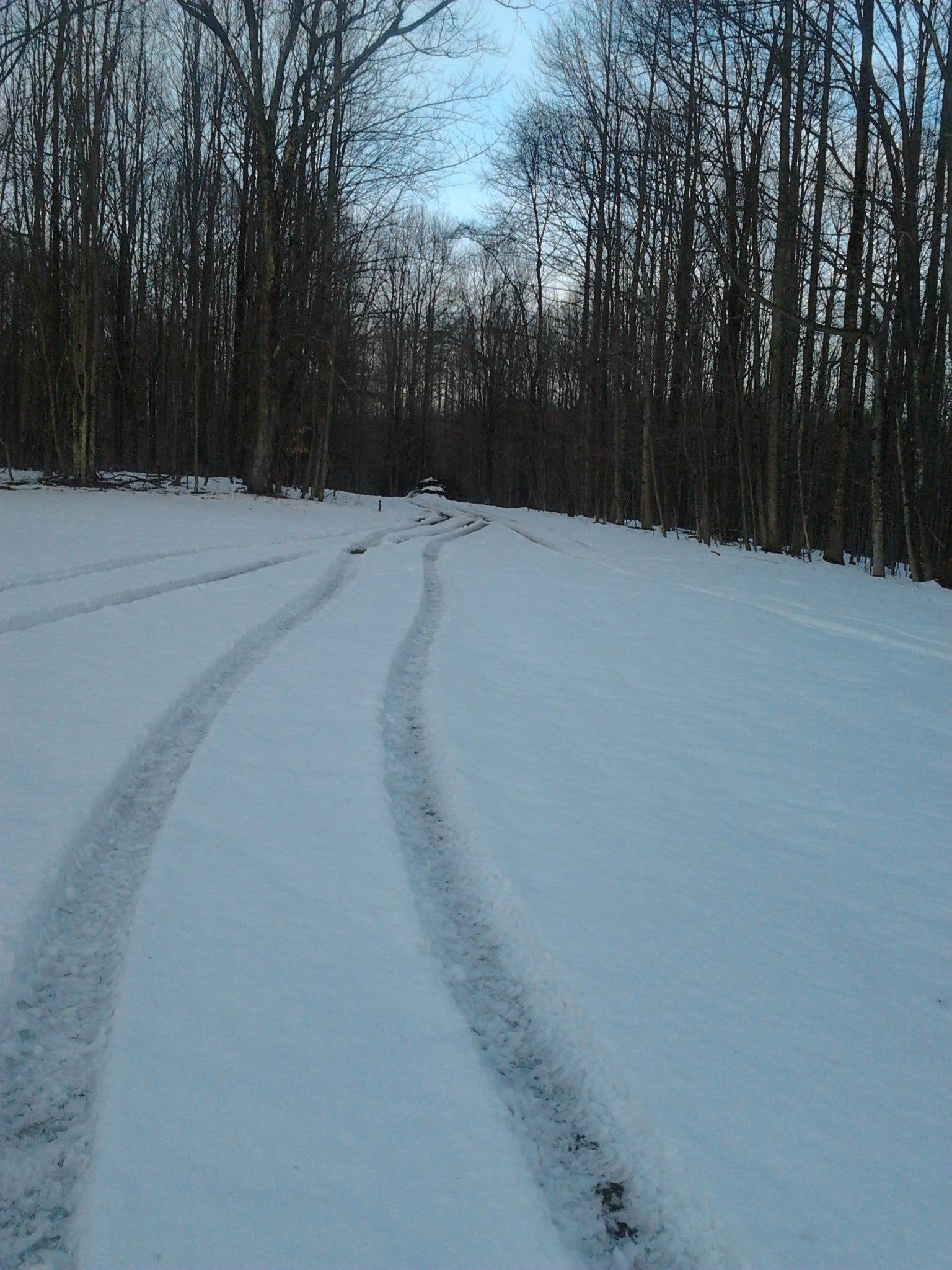 Camper submitted image from Bishop Knob Campground - 1