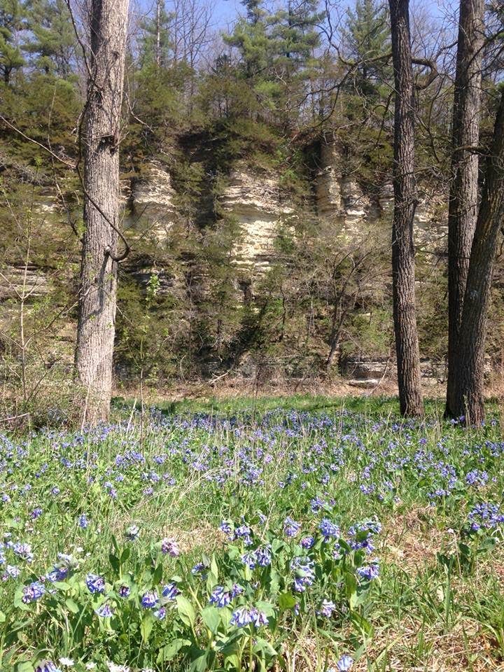 Camper submitted image from Oxbow County Park - 2