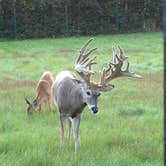 Review photo of Oxbow County Park by Ash V., August 21, 2018